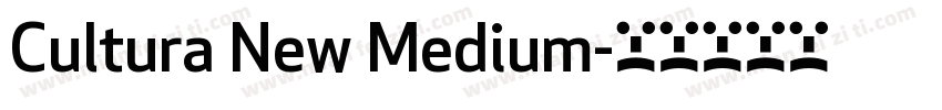 Cultura New Medium字体转换